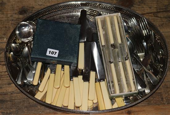 Mixed plated cutlery & tray